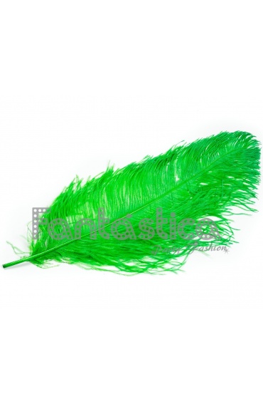 Pluma de avestruz 50-60cm - Comprar en Tienda Disfraces Bacanal